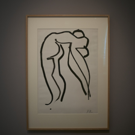 Matisse 3.jpg