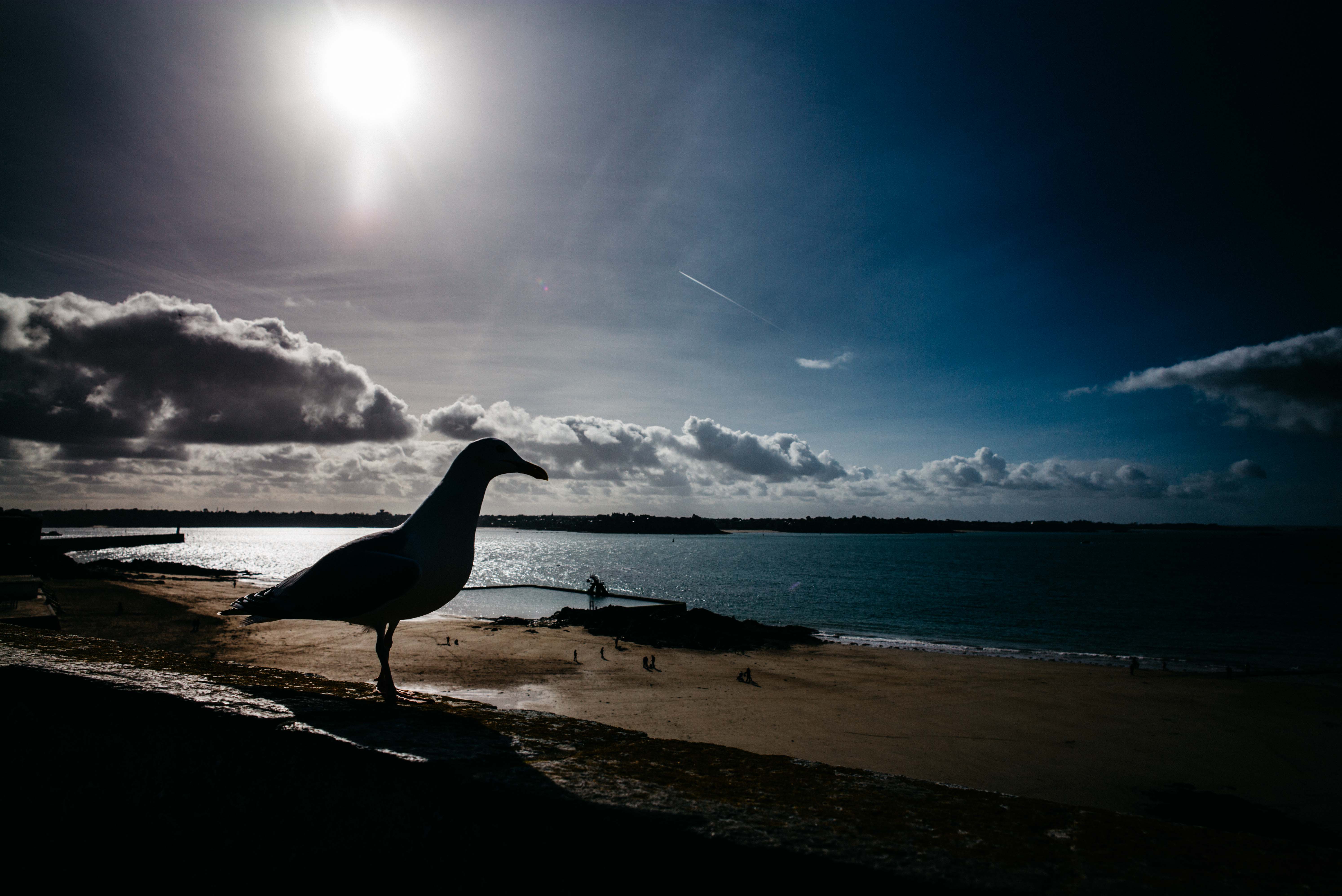 St Malo 6.jpg